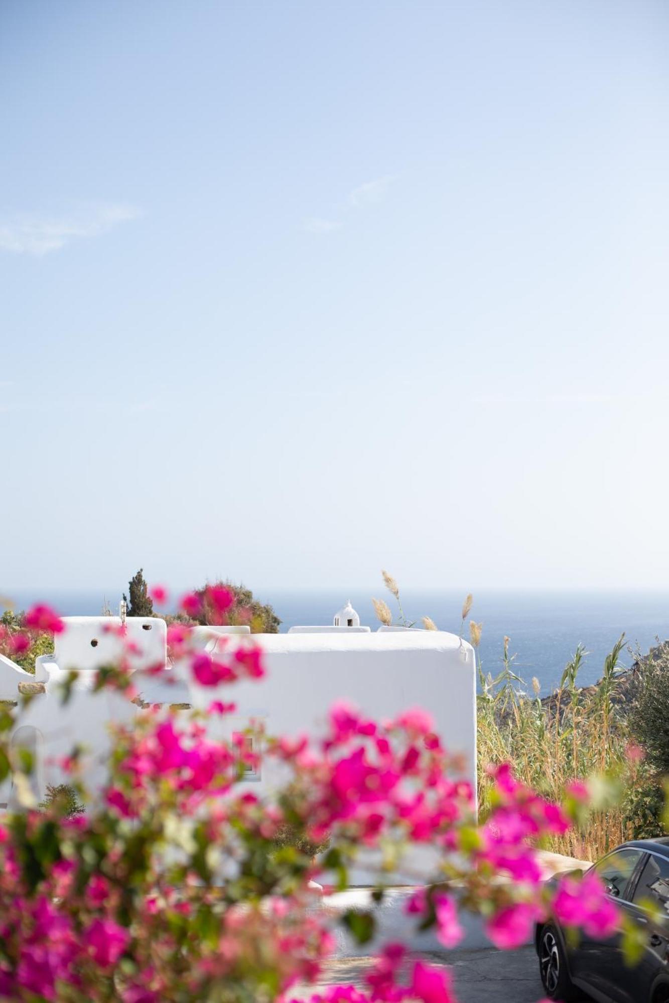Apostolis Windmill Daire Psarrou Dış mekan fotoğraf